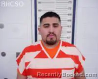 Mugshot of BRYAN ALEXIS ROSALES