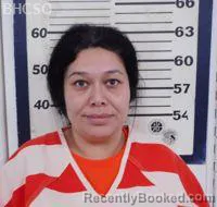 Mugshot of ERIKA GARCIA booked in Big Horn County, Wyoming on March 24, 2026