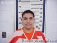 Mugshot of GABRIELA LOPEZ- CASTRO booked in Big Horn County, Wyoming on April 7, 2026