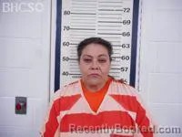 Mugshot of NICHOL LEE BRINKERHOFF booked in Big Horn County, Wyoming on April 27, 2026