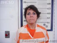 Mugshot of DANA SUE PETERSON booked in Big Horn County, Wyoming on June 20, 2026
