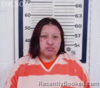 Mugshot of DESTINY ANN DEVYAK booked in Big Horn County, Wyoming on June 26, 2026