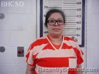 Mugshot of ERIKA GARCIA booked in Big Horn County, Wyoming on July 8, 2026