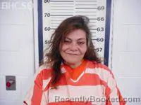 Mugshot of NICHOL LEE BRINKERHOFF booked in Big Horn County, Wyoming on July 26, 2026
