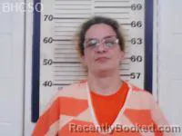 Mugshot of TIANA NICHOLE EASTERBROOKS booked in Big Horn County, Wyoming on July 28, 2026