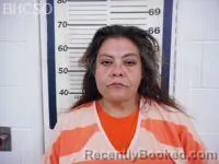 Mugshot of Nichol Lee Brinkerhoff booked in Big Horn County, Wyoming on August 29, 2026