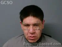 Mugshot of KEANU NICHOLAS DILLON