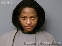 Mugshot of ALISHA R LITTLEJOHN booked in Goshen County, Wyoming on April 16, 2026