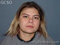 Mugshot of SHANESSA MAURIE PALATO booked in Goshen County, Wyoming on May 3, 2026
