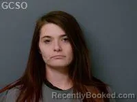 Mugshot of BRITTNEY ANN DALTON booked in Goshen County, Wyoming on May 4, 2026