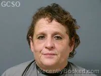 Mugshot of JULIE ANN LAYTON booked in Goshen County, Wyoming on July 6, 2026