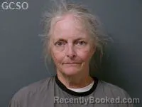 Mugshot of CAROL LORRAINE CASPILLO booked in Goshen County, Wyoming on July 14, 2026