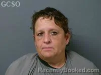 Mugshot of JULIE ANN LAYTON booked in Goshen County, Wyoming on July 28, 2026