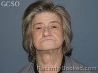 Mugshot of Lorri Ellen Dodson booked in Goshen County, Wyoming on October 22, 2026