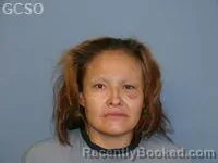Mugshot of LISA ROSE GUERUE booked in Goshen County, Wyoming on July 28, 2026