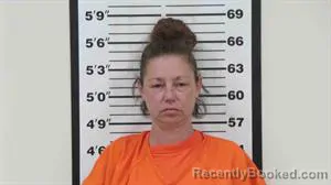 Mugshot of Brittany Lee Bryant booked in Lincoln County, Wyoming on August 6, 2026