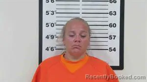 Mugshot of JAMIE LAREA BROWN booked in Lincoln County, Wyoming on July 26, 2026
