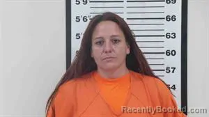 Mugshot of ASHLEY DAWN HOWELL booked in Lincoln County, Wyoming on June 19, 2026