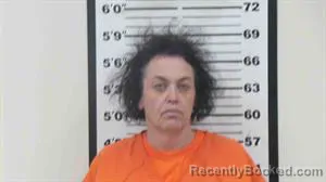 Mugshot of Kari Virginia Perry booked in Lincoln County, Wyoming on October 1, 2026