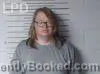 Mugshot of Austin Erlewine booked in Niobrara County, Wyoming on August 19, 2026