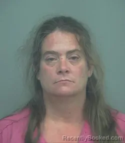 Mugshot of TERESA FRANCES DIRKX booked in Sweetwater County, Wyoming on March 18, 2026