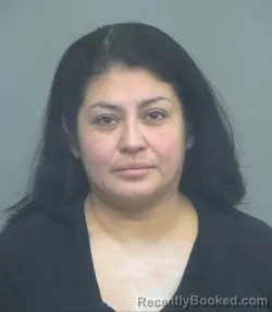 Mugshot of ANA L CANEDO LUNA