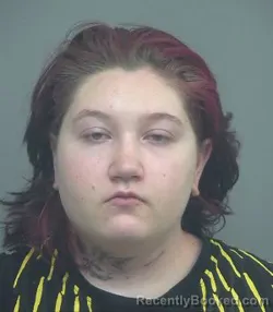 Mugshot of ZJIN ROSE BYBEE booked in Sweetwater County, Wyoming on April 5, 2026