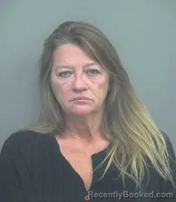 Mugshot of BRENDA LYNN TURNER