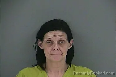 Mugshot of ROBYN LEA WHITE