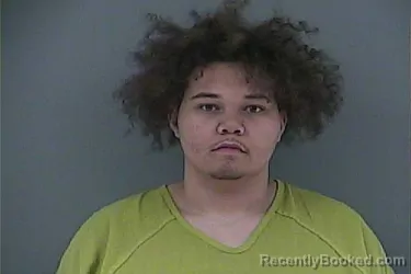 Mugshot of TRON MASON SEIBER