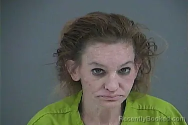 Mugshot of CHELSEA DIANE BRIDGES