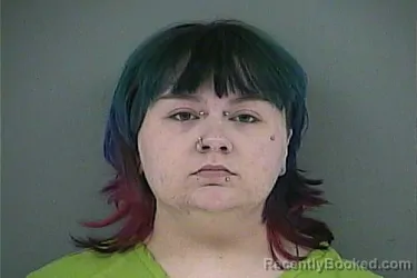 Mugshot of HOLLY DAWN MASON