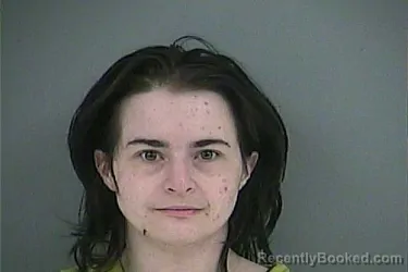 Mugshot of BRITTANY NICOLE HAESE