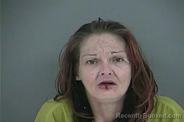 Mugshot of MISTY JO BEGLEY