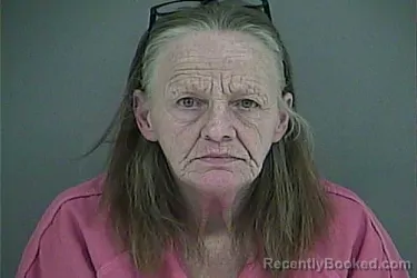 Mugshot of PAMELA FLYNN CANTWELL