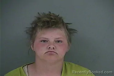 Mugshot of CHLOE ELIZABETH BREWER booked in Anderson County, Tennessee on March 21, 2026