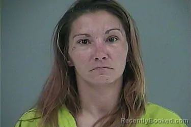 Mugshot of JESSICA ANN-MARIE LANDIS booked in Anderson County, Tennessee on May 1, 2026