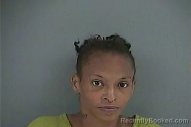 Mugshot of ALISA ANN SEIBER booked in Anderson County, Tennessee on June 4, 2026
