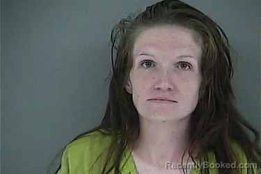 Mugshot of AMANDA MARIE GEORGE booked in Anderson County, Tennessee on June 5, 2026