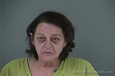 Mugshot of SHANNON RENEE SCHAAL booked in Anderson County, Tennessee on June 12, 2026