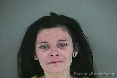 Mugshot of JACKIE RENEE JENKINS booked in Anderson County, Tennessee on June 15, 2026