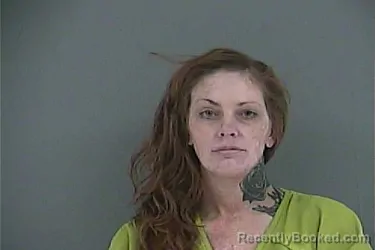 Mugshot of MISTY DAWN DOPLE booked in Anderson County, Tennessee on June 23, 2026