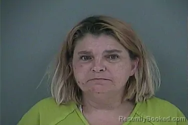 Mugshot of NELLIE LOU SALYER booked in Anderson County, Tennessee on July 2, 2026