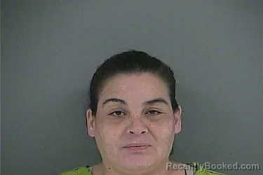 Mugshot of ANITA LYNN HICKMAN booked in Anderson County, Tennessee on July 7, 2026