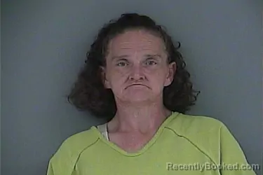 Mugshot of AMANDA RENE PATTERSON booked in Anderson County, Tennessee on July 28, 2026