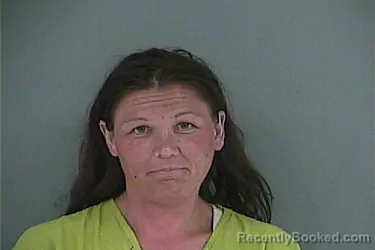 Mugshot of Hannah Audry Mitchell booked in Anderson County, Tennessee on July 31, 2026