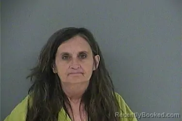 Mugshot of Kimberly Ruth Harness booked in Anderson County, Tennessee on August 3, 2026