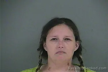 Mugshot of Sandra Ashley Harris booked in Anderson County, Tennessee on August 25, 2026