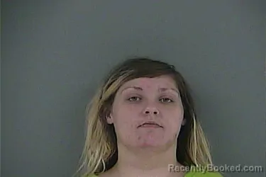 Mugshot of Hayley Anne Lemons booked in Anderson County, Tennessee on August 25, 2026