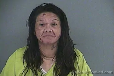 Mugshot of Chantele Renee Ortiz booked in Anderson County, Tennessee on October 2, 2026